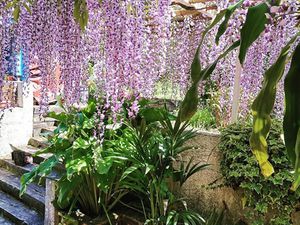 Maison en vente à Floirac
