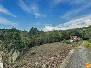 SUPERBE TERRAIN DE 3.183 M2 - MAISON 4F - ENDROIT CALME