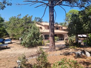 Propriété pieds dans l'eau vue mer à Sari Solenzara