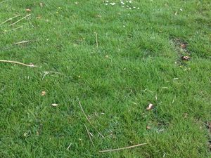 Terrain à vendre au Artigues De Lussac