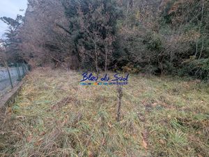 Terrain agricole boisé