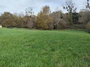 Vente Terrain au Tâtre (16360) : à vendre / 4714m² Le Tâtre