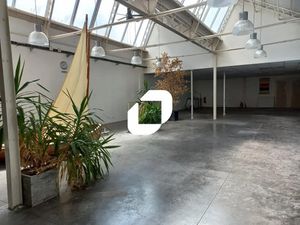 Location Bureau Croix 59170