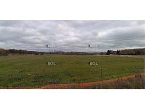 A VENDRE - Terrain de 10 000 m² à Gretz-Armainvilliers (77)