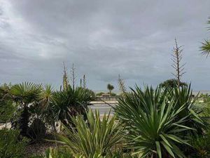 Vente Terrain à Saint-Brevin-les-Pins (44250) : à vendre / 1134m² Saint-Brevin-les-Pins