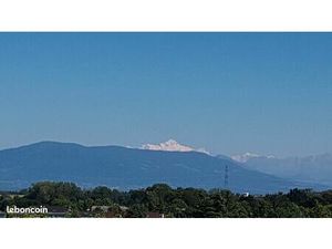 Appartement 4 pièces 82 m²