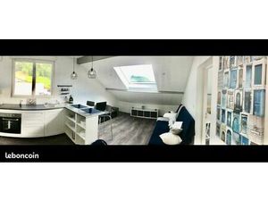 T2 mansardé 46m2 au sol/29m2 hab  rénové  très lumineux- Gières