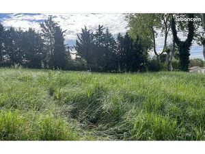 Terrain 2 686 m² Castelnaudary