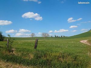 Terrain 1999 m² LANGY