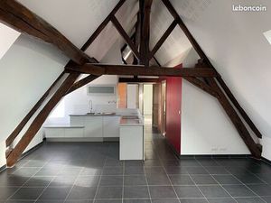 T3 Belles prestations auxerre centre