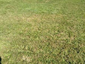 Vente terrain hors lotissement