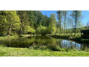 Étang de pêche avec cabane et pâtures !