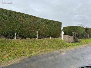 Terrain constructible à Tournes 08