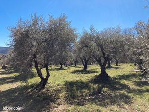 Terrain constructible