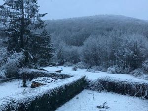 Maison en France – à 1 km de la Belgique – Grand terrain – 69 000