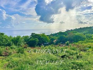 Terrain 1 606 m² Bellefontaine