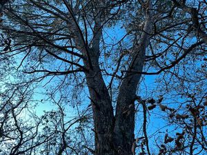 Terrain de loisir en position dominante en pleine nature