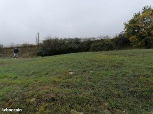 Terrain 1 136 m² Cruejouls