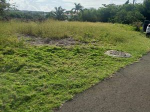 Terrain viabilisé 903 m² – Lotissement calme – Anse-Bertrand