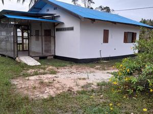 Location maison T3 Mana lot Couachy