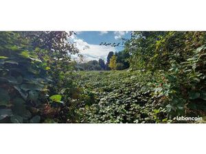 Terrain constructible