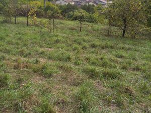 Terrain 5354m2 dont 4342m2 contructible