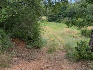Terrain agricol 3000 m2 proche du village