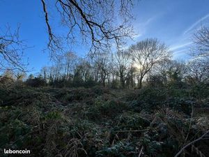 Terrain 1 397 m² Treffrin