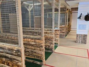 Fond de commerce de loisirs