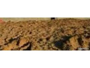 Donne excédent de terre maison individuelle