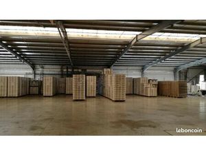 Local 19000 m² Bohain-en-Vermandois