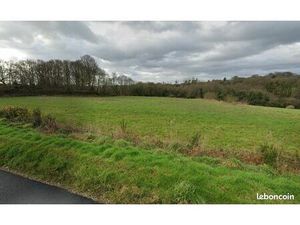 À VENDRE : Terrain exceptionnel de 10 117 m² en plein cœur de Plouisy