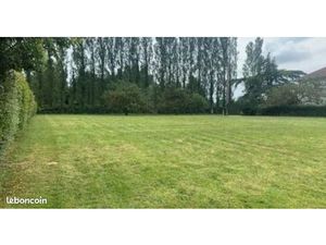 Terrain Constructible