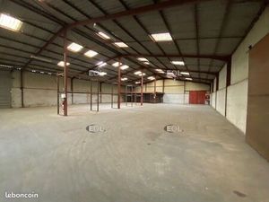 Local d'activité 1 343 m²