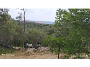 Terrain 7700 m²
