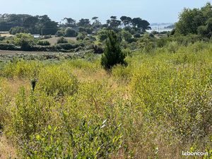 Beau terrain agricole à Plougrescant