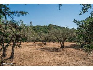 Terrain 1 615 m² Flayosc