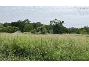 Terrain 620 m² Cissac Medoc