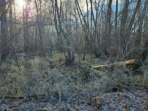 Terrain non constructible