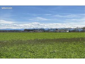 Terrain 1 369 m² Calmont