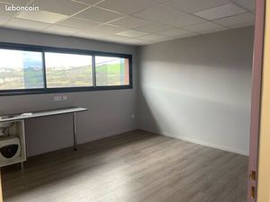 Locaux professionnels