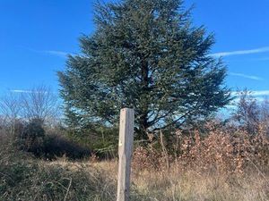 Terrain nu à entretenir