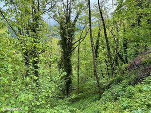 Forêt 13 466 m² Aulus Les Bains