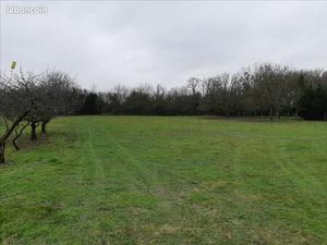 Terrain 1 474 m² Palluau Sur Indre