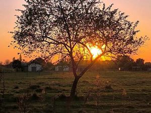 Terrain 600 m² Cavignac