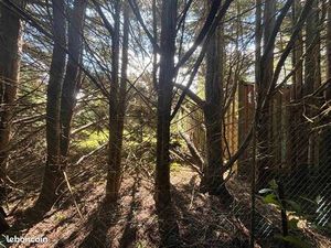 Terrain 2 041 m² Lunery