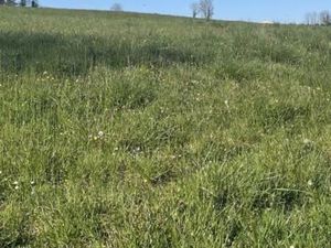 Terrain 500 m² Sauveterre De Guyenne