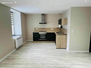 Appartement T3 rénové 78 m² avec garage  cave et petit terrain