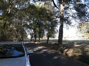 Terrain boisé de 18705m²