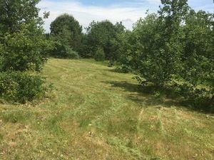 Terrain agricole - 4 hectares constructible pour une activité agricole